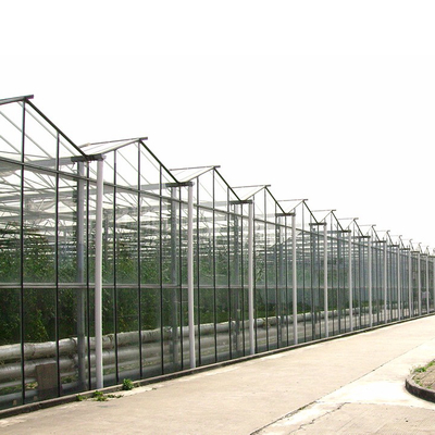 Film Plant Grow Lamp Glass Indoor Greenhouse